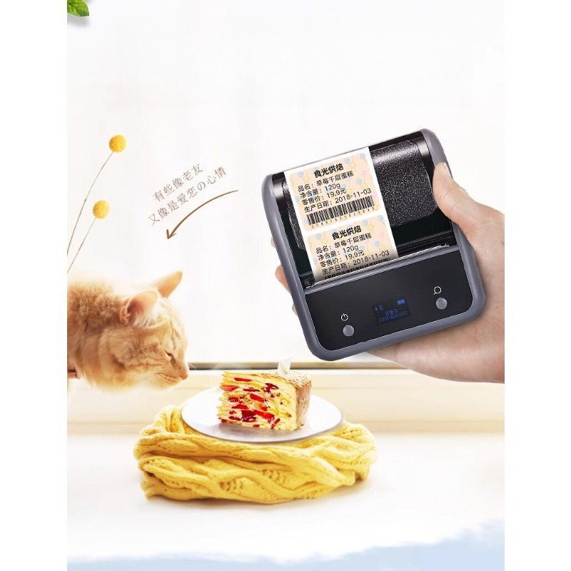 Barcode Printer - B3S Kommerzieller Tragbarer Bluetooth-Barcodeschreiber für Kleidungsetiketten,